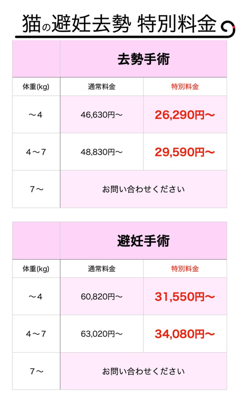 去勢 避妊について 新瀬戸駅徒歩１分 ベッツアニマルクリニック瀬戸 動物病院